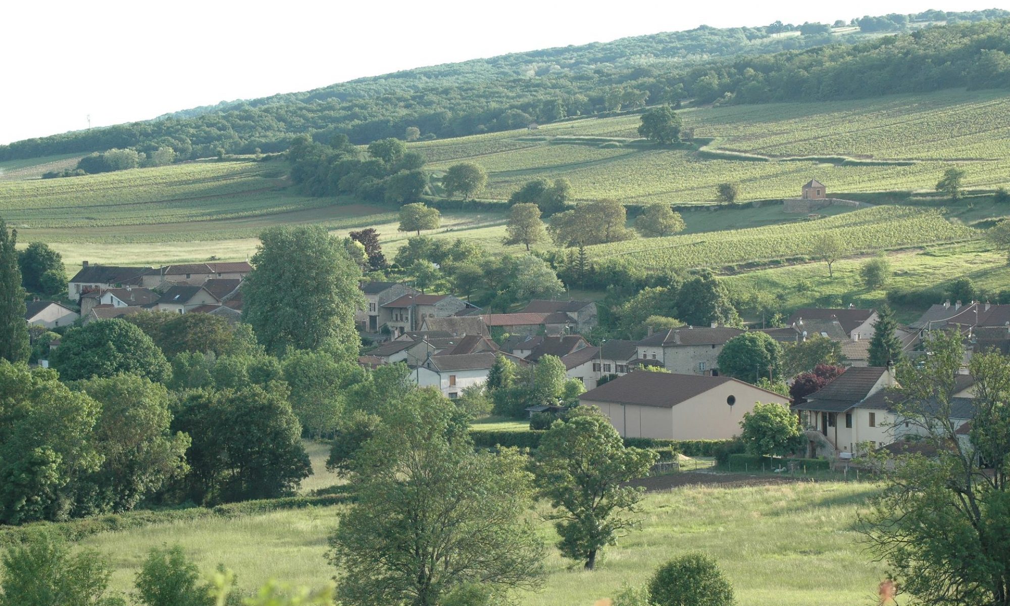 Cruzille en Saône et Loire